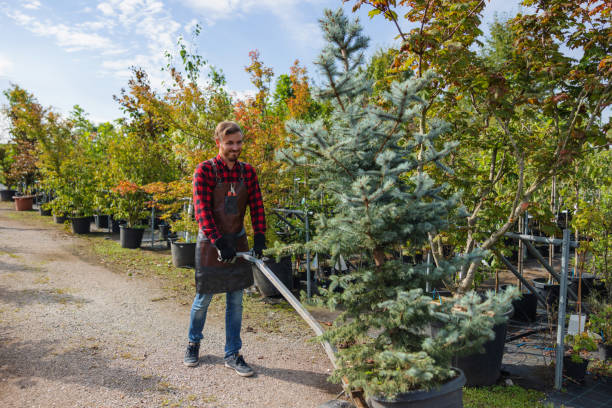 Why Choose Our Tree Removal Services in Baxter, TN?